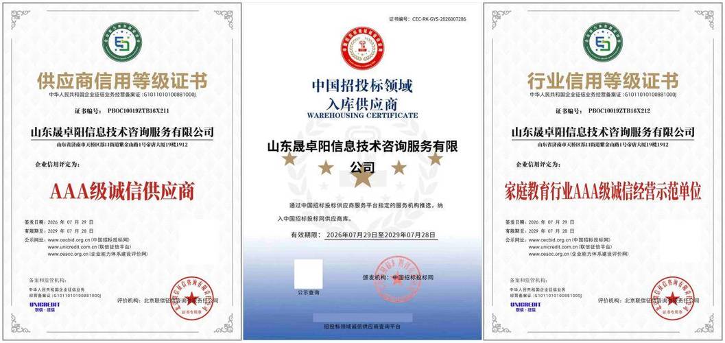 山东晟卓阳信息技术咨询服务斩获全套AAA资质 科学家庭教育与信息技术咨询的完美融合